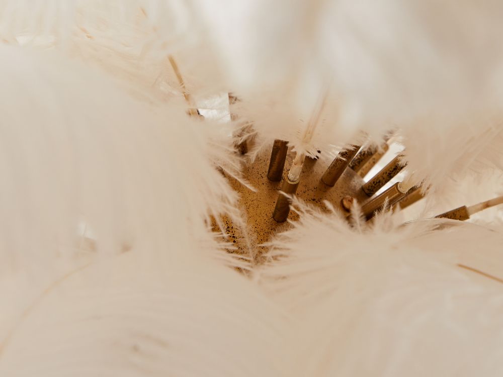 Dion Ostrich Feather Floor Lamp