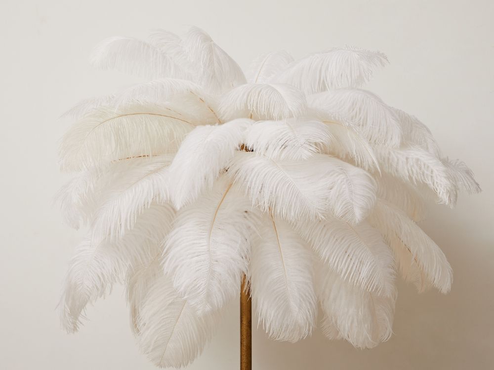 Dion Ostrich Feather Floor Lamp