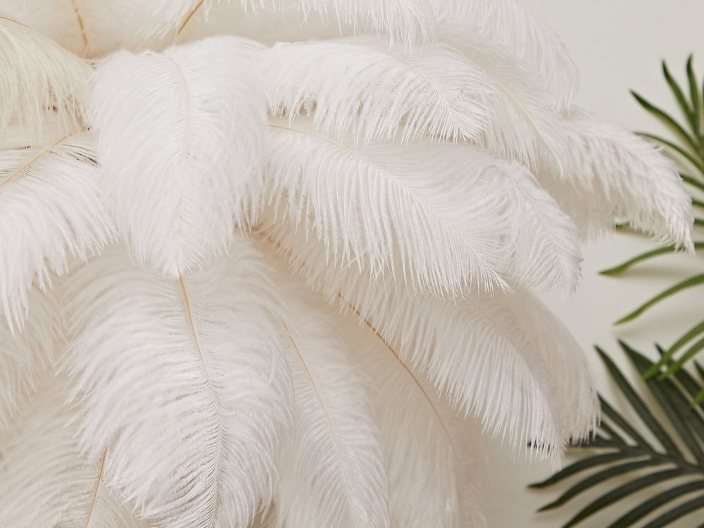 Dion Ostrich Feather Floor Lamp