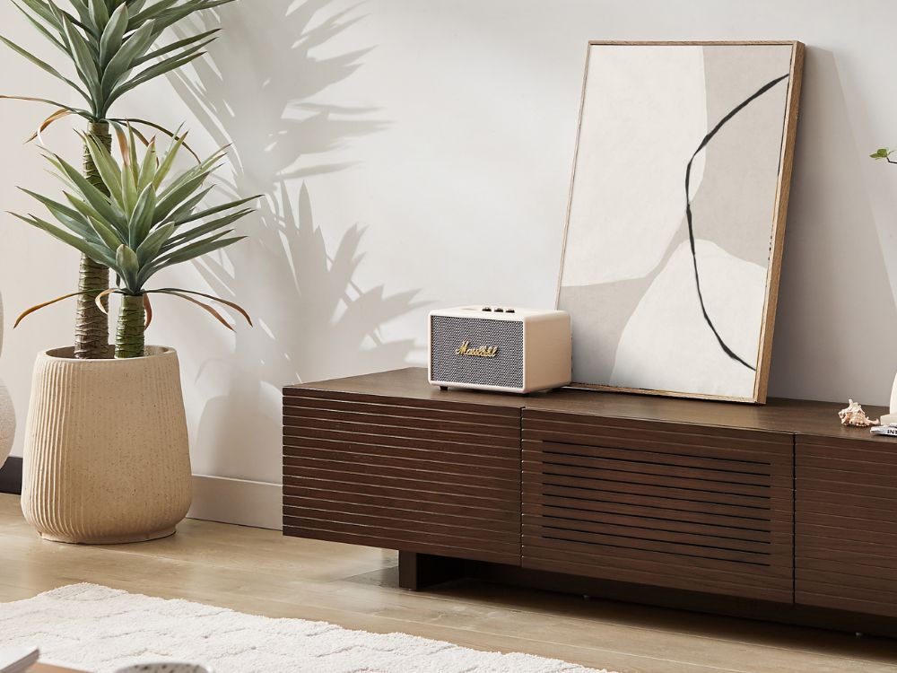Lucia TV Unit